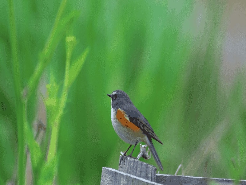 银川惜缘试管代生机构：怀二胎孕吐反应特大，和孕妇自身以及胎儿都有关